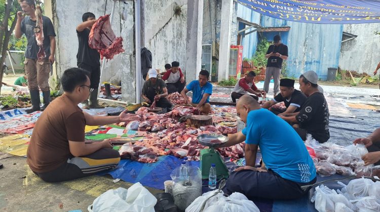Berbagi Keberkahan Idul Adha, Bosowa Kurban 48 Ekor Sapi dan 19 Ekor Kambing