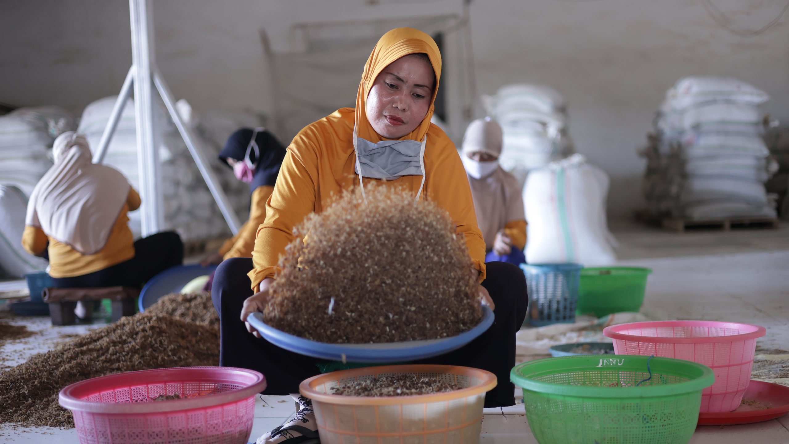 Bantimurung 2